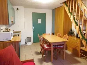 Charmant Studio Duplex 26m2 à la montagne - 阿尔利河畔普拉兹