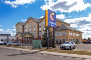 Comfort Inn - Stirling