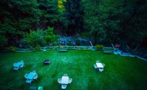 Regenta Place Green Leaf Manali- A Centrally Heated Resort