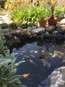 Maisons de vacances Garden Annexe 2 : photos des chambres