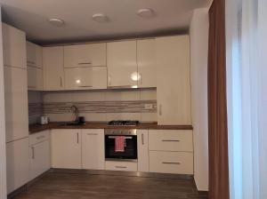 Armony Apartament Timisoara