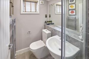Host Stay Puffins Rest