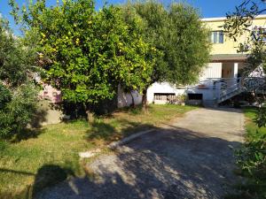 La Rosa dei Venti img19