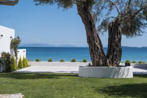 Mare Nostrum Apartments by Hotelius