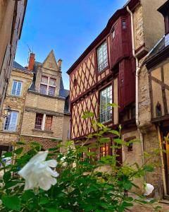 Maisons de vacances Gite de la riviere avec patio et parking centre ville : photos des chambres