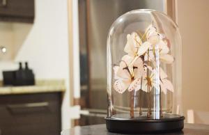 Apartamento Encanto Tarazona Plaza de España