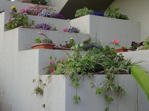 IL GIADINO DI ENEA
