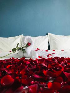 HOTEL GOL INN PLATINUM