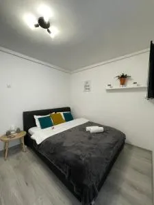 Cozy Studio Apartament Zalau - Dioşod
