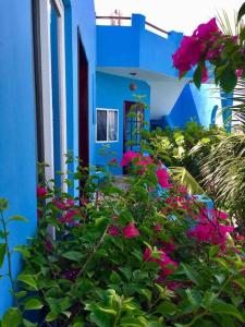 Casa Cielo Studio 2 with detached Balcony