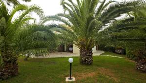 Muses Villas Resort