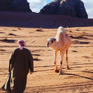 Magic Wadi Rum