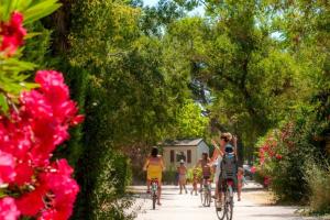 Campings mobil home tout confort 6 personnes climatise au pied du Luberon : photos des chambres