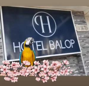 HOTEL BOUTIQUE SONNE BALOP Valledupar