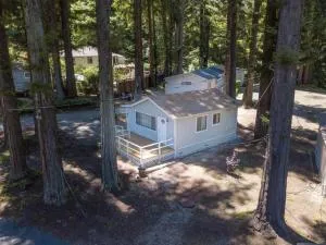 Masoods Lodge - Felton