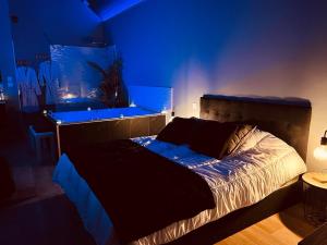 Maisons de vacances La Parenthese, gite de charme proche zoo de beauval et chateaux : photos des chambres