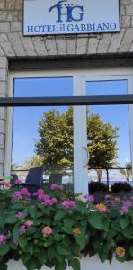 Hotel Il Gabbiano img33