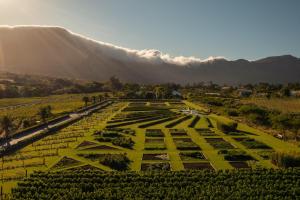 Dassenberg Road, Franschhoek, South Africa.