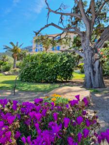 Hotels STELLA MARE : photos des chambres