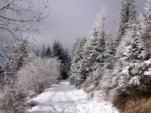 Duplex Superbe Vue Montagne