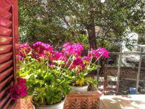 Under the Rock of Acropolis by YHA