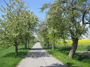 Ferienhof Schönfelder