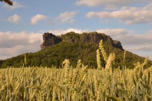 Ferienhof Schönfelder