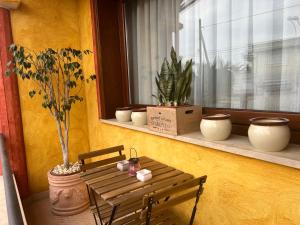 Grace dell'isola dei Coralli img70