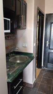 بسين فيو 307 ارضى