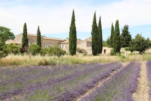 Maisons d'hotes Prieure de Grignan : photos des chambres