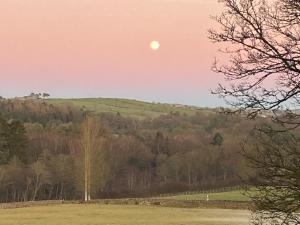 The Bothy at Ivy Cottage
