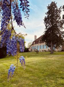 B&B / Chambres d'hotes Le brulon : photos des chambres