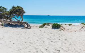 Terrazza del Convento - Seeview private terrace apartment img39