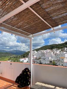 Alojamiento Armenia Piscina