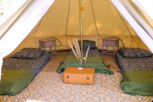 Campings Le repere du pin sec - Glamping & Surfcamp : Lit Simple en Dortoir