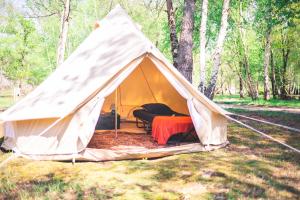 Campings Le repere du pin sec - Glamping & Surfcamp : photos des chambres