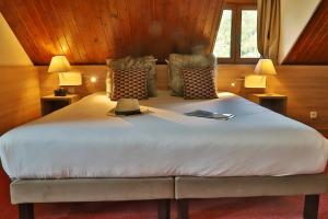 SOWELL HOTELS Mont Blanc et SPA : photos des chambres
