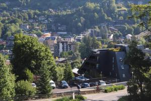 SOWELL HOTELS Mont Blanc et SPA : photos des chambres
