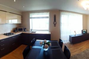 Cozy apartments in Druskininkai with panorama view