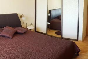 Cozy apartments in Druskininkai with panorama view