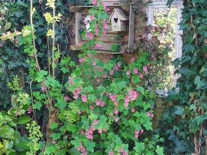 Familie Postma B&B Anjum