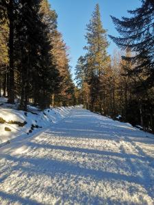 Chalets Chalet a L'Oree du Bois : photos des chambres