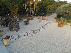 Villatramontistella Suite