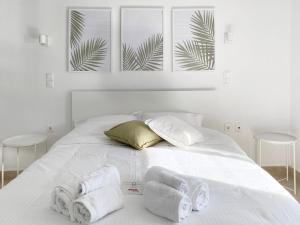 Palm Suite Green