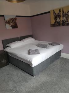 Mad ORourkes Pie Factory