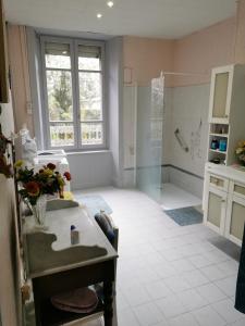 Maison de bourg dans le Cantal