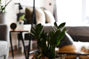 Loft room in Celta Home