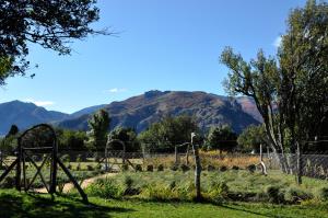 La Morada Lodge & Glamping - Meliquina