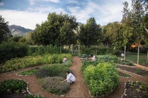 La Morada Lodge & Glamping - Meliquina