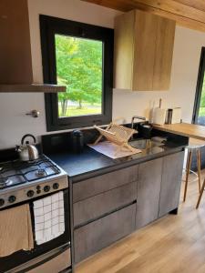 La Morada Lodge & Glamping - Meliquina